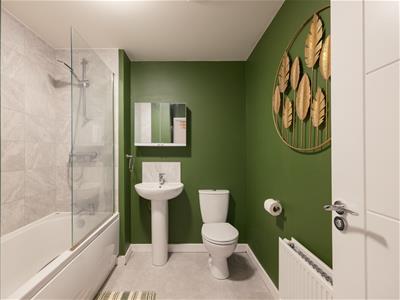Picture 21